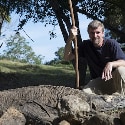 Komodo Dragons, Visiting the Largest Lizards in the World in Indonesia