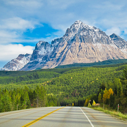 11 Great Road Trips