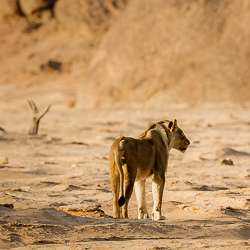 Travel to Namibia’s Skeleton Coast – Episode 466