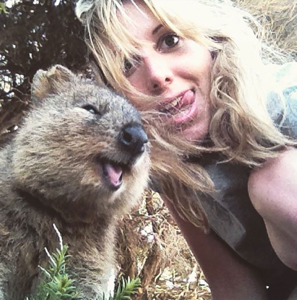 Quokka Selfies on Rottnest Island