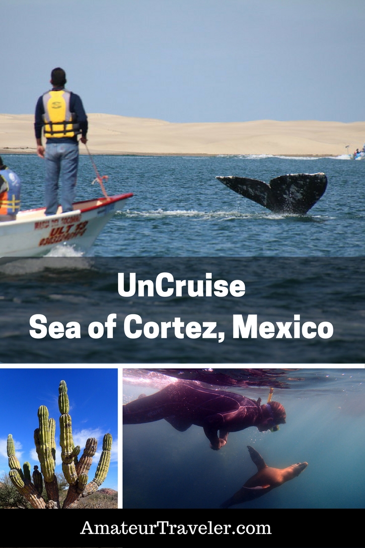 Small Ship Cruise on UnCruise In the Sea of Cortez - Baja Sur, Mexico