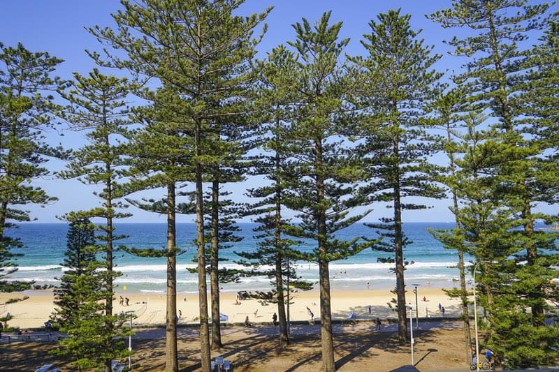 Manly Beach