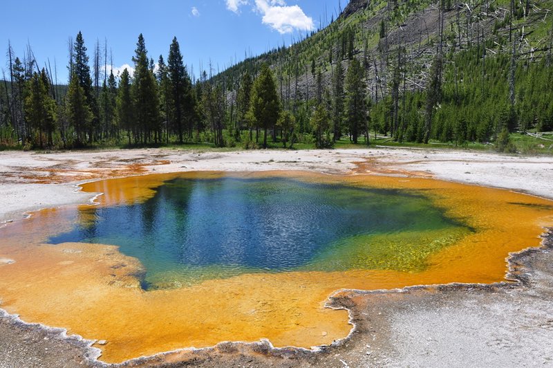 Yellowstone National Park