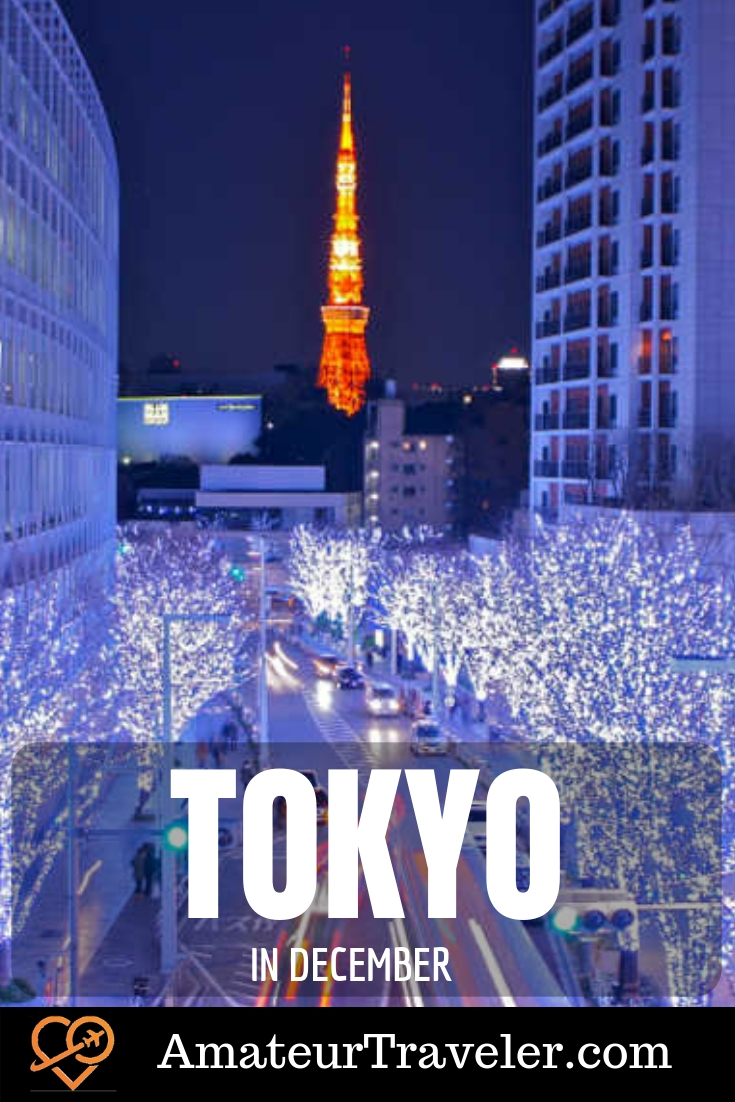 What to do in Tokyo in December #tokyo #japan #december #travel