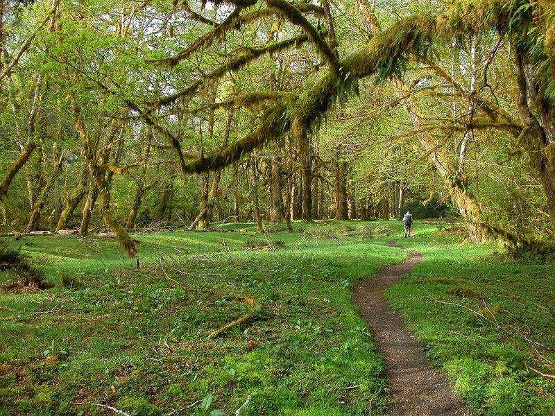 Olympic Peninsula