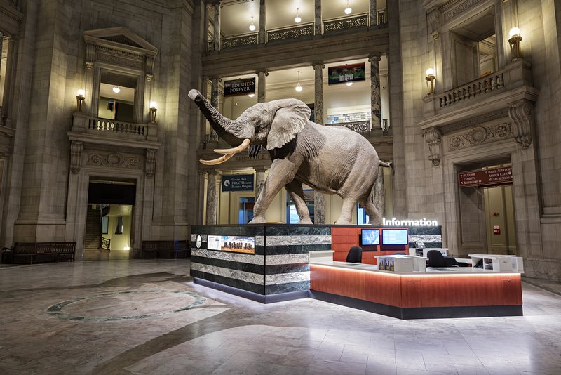 National Museum of Natural History Rotunda