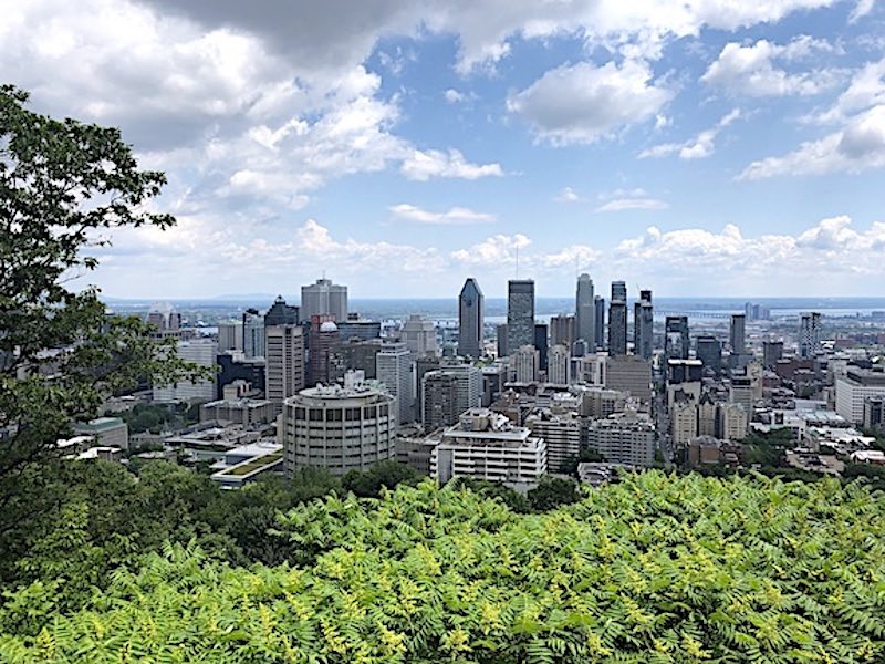 A view of the Montreal skyline from the Belve?de?re Kondiaronk atop Mount Royal