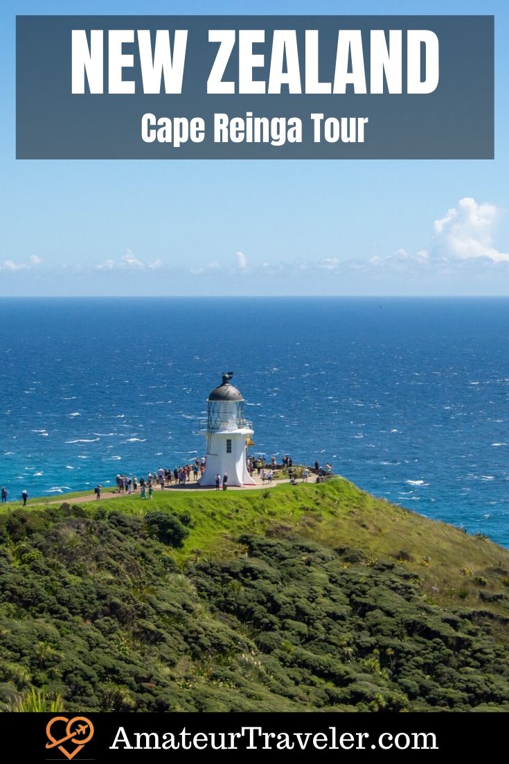 Cape Reinga Tour | 90 Miles Beach | Bay of Islands | #New-Zealand #things-to-do-in #itinerary #tour #bay-of-islands #tour #Cape-Reinga #sandboarding #beach #travel #trip #vacation