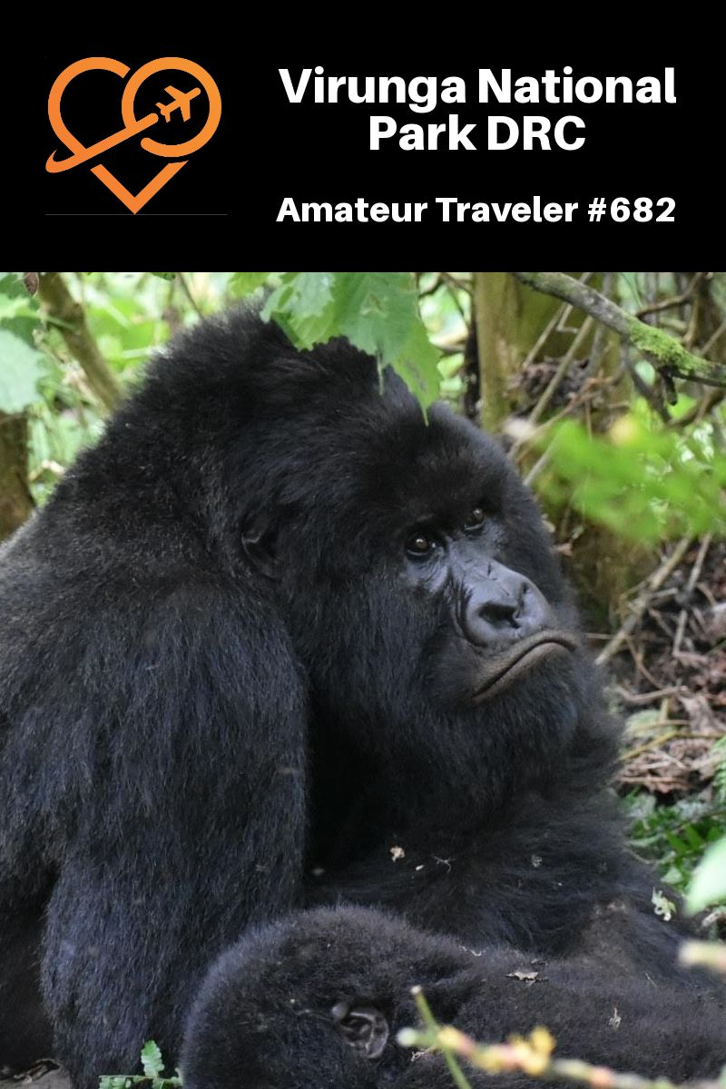 Virunga National Park in the Democratic Republic of the Congo (Podcast) #africa #drc #Virunga #National-Park #Democratic #Republic-of-the-Congo #gorilla #gorillas #chimpanzee #volcano #mountains #volcanoes #wildlife #travel #trip #vacation