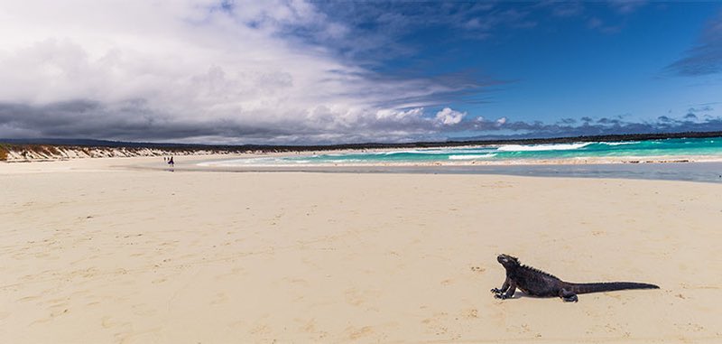 Tortuga Bay