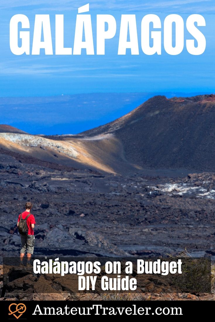 Galápagos on a Budget - DIY Guide | What to do in the Galapagos | Where to go in the Galapagos #travel #trip #vacation #galapagos #budget 