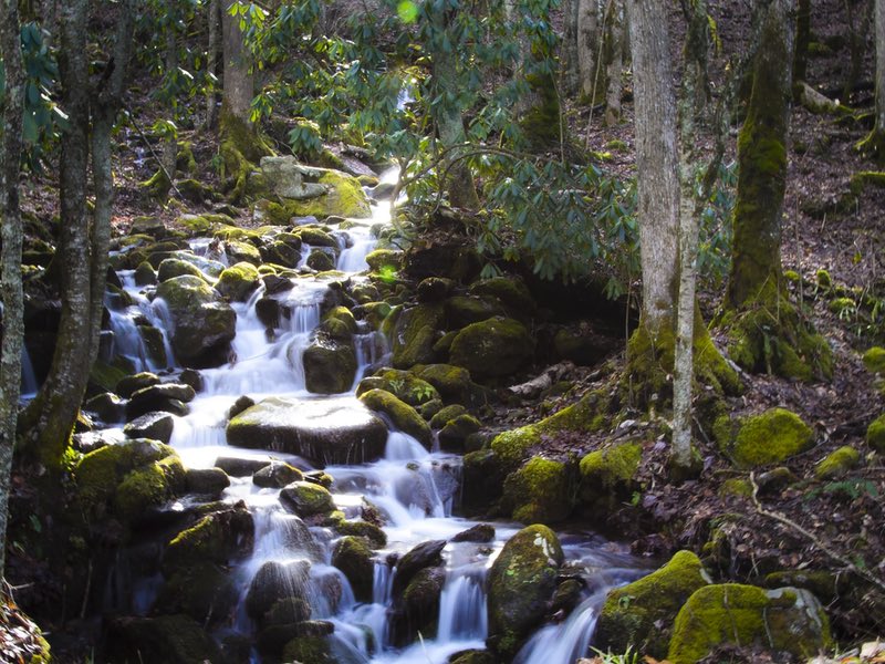 Smokey Mountains North Carolina