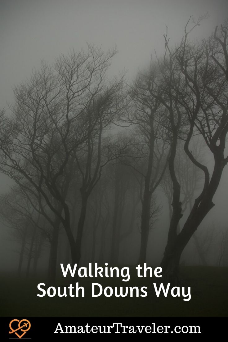 Walking the South Downs Way (Podcast) | South Downs National Park Trek/Hike #travel #trip #vacation #south-downs #england #uk #britain