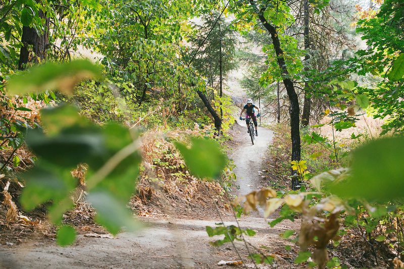 Mountain Bike Trails Near Portland