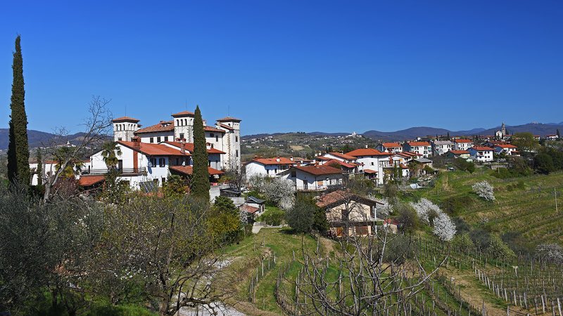 Dobrovo Castle