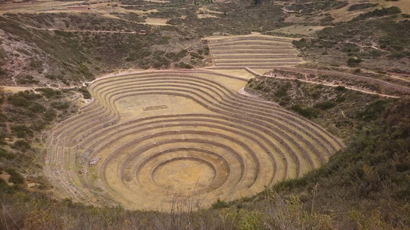 Moray