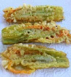 Fiori di Zucca