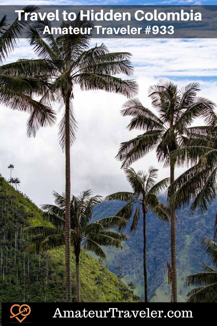 Hidden Colombia - a 10-12 day off-the-beaten-path Colombia itinerary, starting in Caño Cristales for its vibrant river, exploring the Cerros de Mavecure near Inírida, hiking the Tatacoa Desert, and ending in Tochecito to see the world's tallest wax palm forest, using Bogotá as a travel hub. (Podcast) #colombia #itinerary #hidden #travel #vacation #trip #holiday