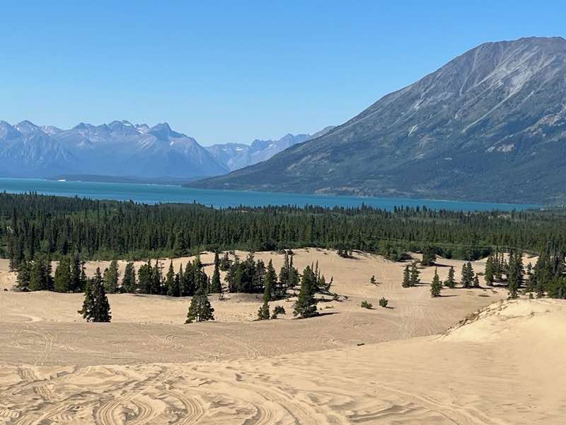 The Carcross Desert