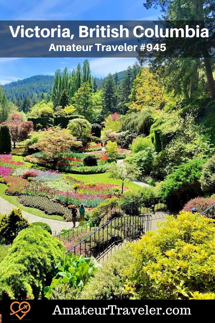 Explore the charm of Victoria, British Columbia through a week of scenic adventures, historic tours, whale watching, kayaking, and standout local cuisine. (Podcast) #victoria #britishcolumbia #canada #vancouverisland #itinerrary #travel #vacation #trip #holiday