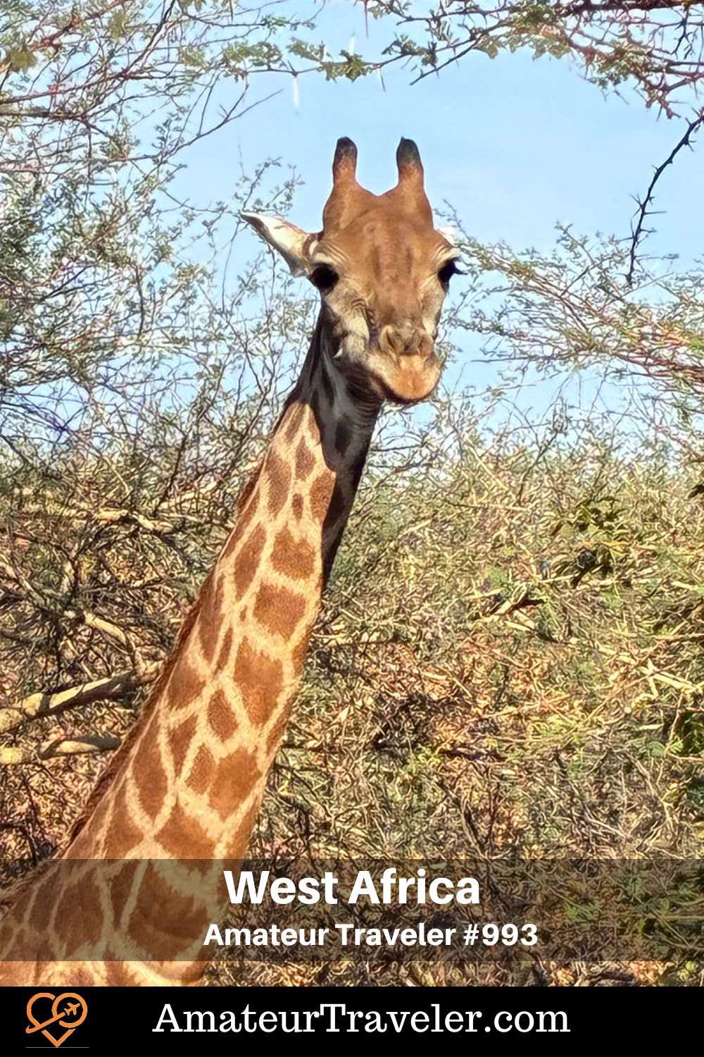 Travel to West Africa (Senegal, The Gambia, Guinea-Bissau) (Podcast) - two-week West Africa itinerary through The Gambia, Senegal, and Guinea-Bissau, from river cruises and Gorée Island to remote Orango National Park.