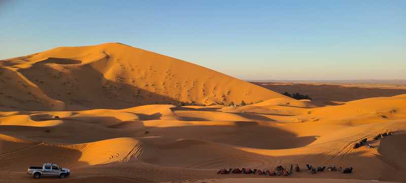 Golden sand dunes in the Sahara Desert in Morocco with a camel caravan and four-wheel-drive vehicle below.